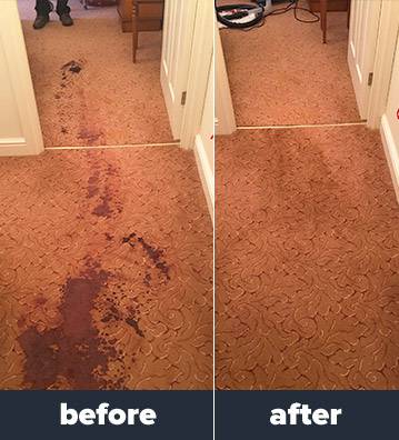 Image result for Rug and Carpet Cleaning