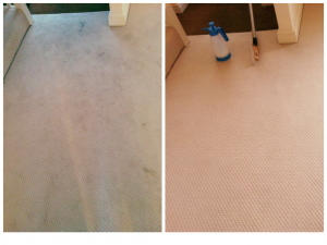 Why hire a professional carpet cleaner?