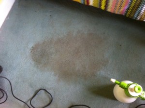 Carpet Cleaning Stain Removal In Bridgend
