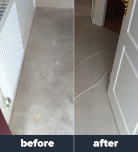 Our Carpet Cleaning Results