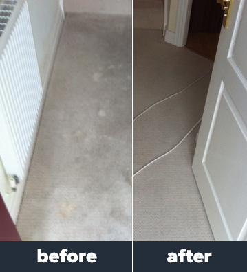 Consumer's Guide To Carpet Cleaning